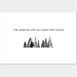 I eat salagmites when the tour guides aren't looking Posters and Art